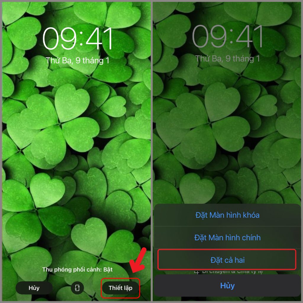 Tải ngay bộ hình nền cỏ 4 lá cực đẹp cho iPhone của bạn - Sài Gòn Táo